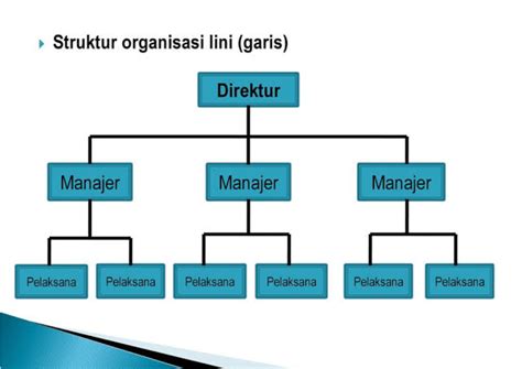 Organisasi dan Struktur